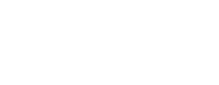 Bitty Pet