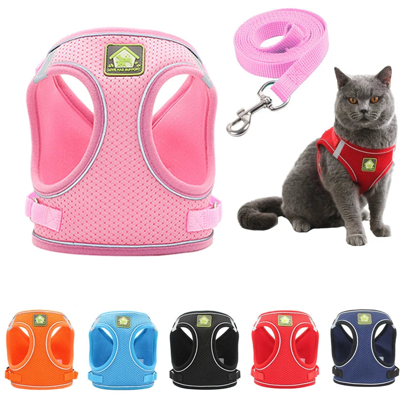 Chest collar for cat