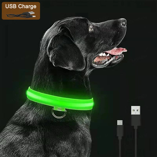 Pet collar that glows in the dark